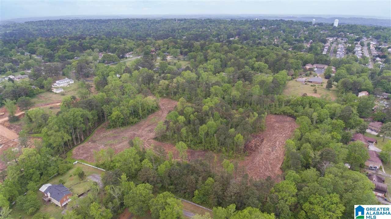 Lot 11 Chandler Way - Photo 1