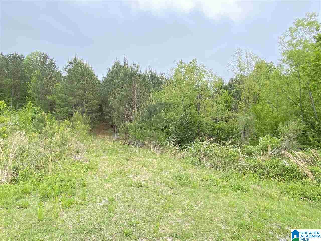 865 Cherrywood Court - Photo 1