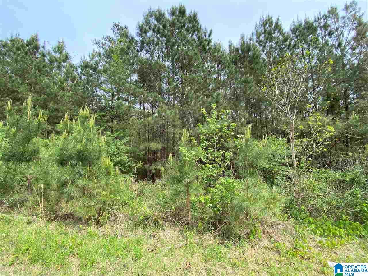 499 Cherrywood Way - Photo 1
