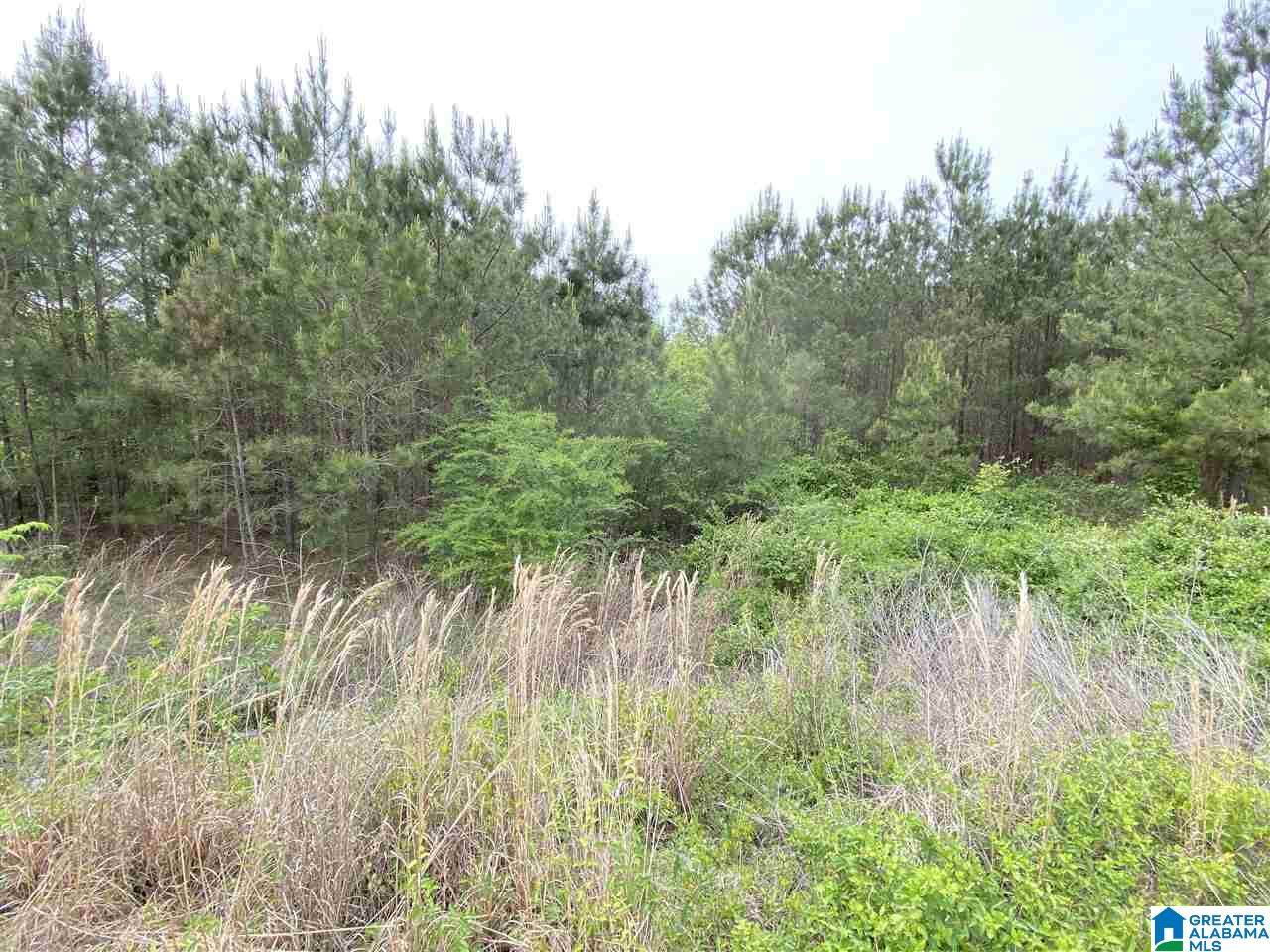 149 Rock Crest Road - Photo 1