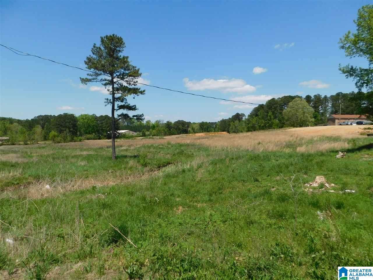 0 Highway 231 - Photo 1