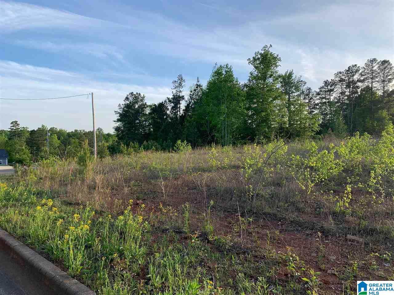 0 Alexandria Jacksonville Highway - Photo 1