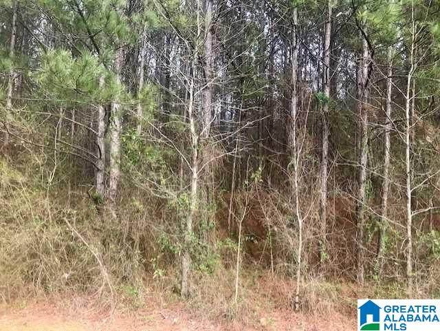 Lot D31 Falcon Crest - Photo 1