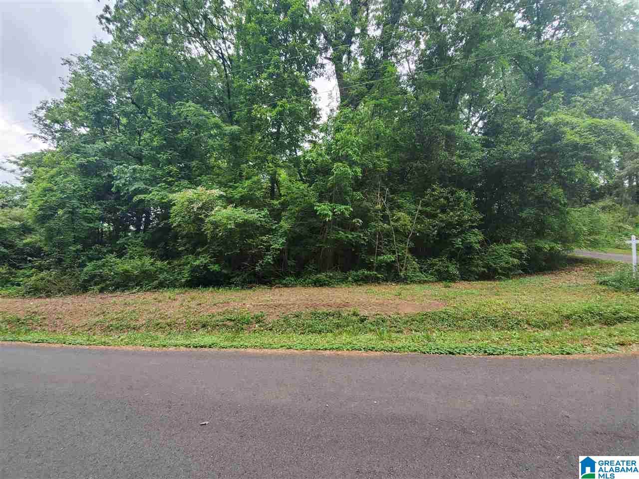 0 3RD AVENUE - Photo 1
