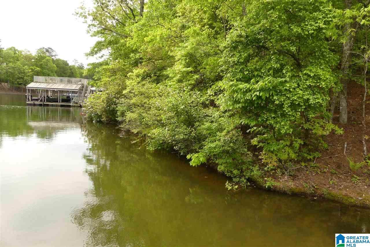 Lot 8 Bluegill Drive - Photo 1