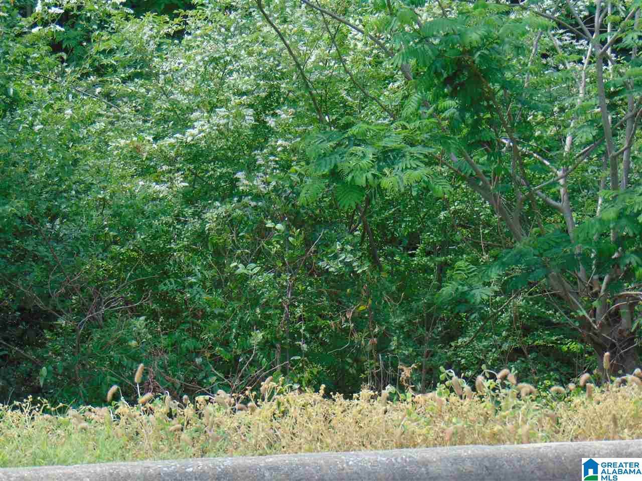 116 Jewell Circle - Photo 1