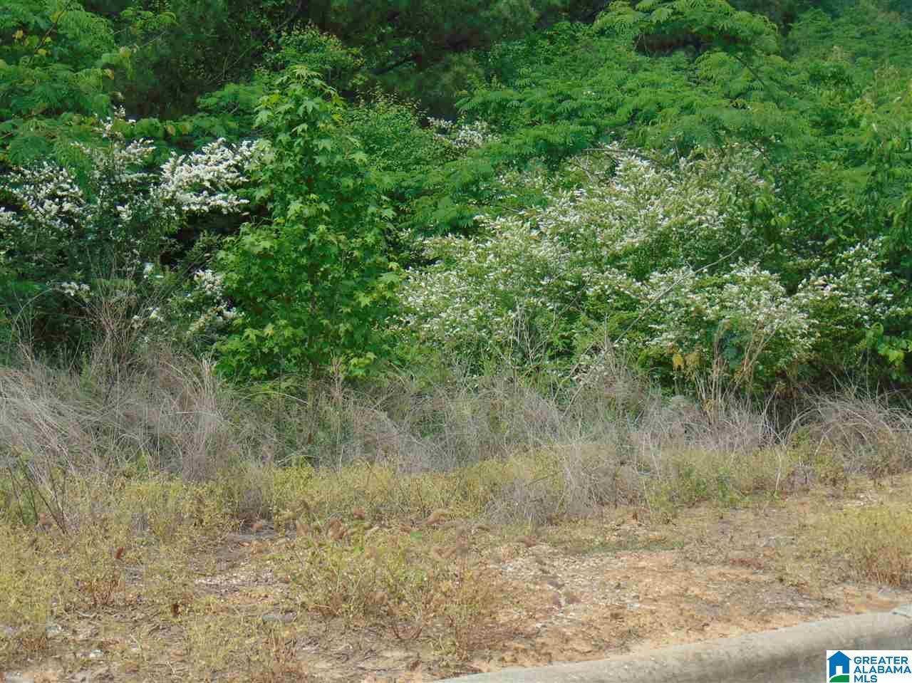 137 Jewell Circle - Photo 1