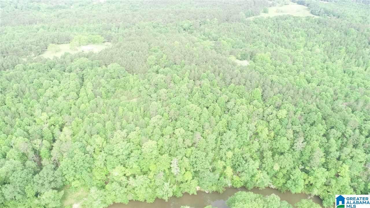 26 acres County Road 532 - Photo 1