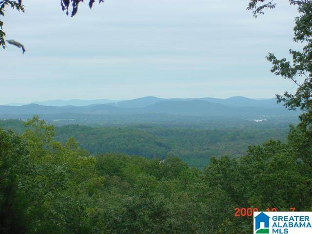 0000 Stinson Road - Photo 1