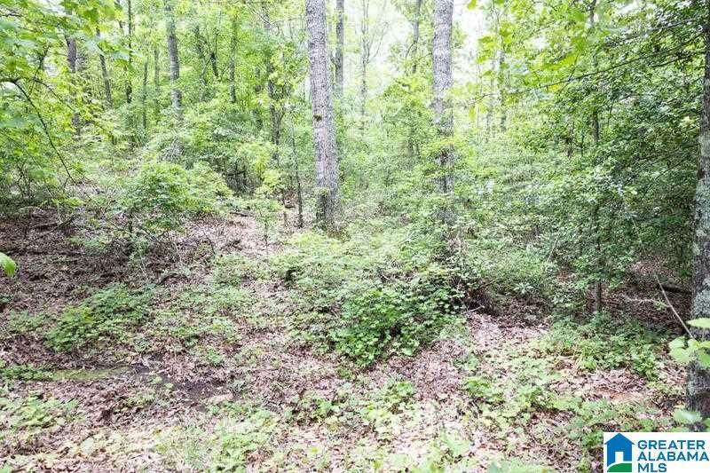 Lot 16 Williams Drive - Photo 1