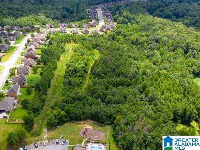 4030 Old Cahaba Parkway - Photo 1
