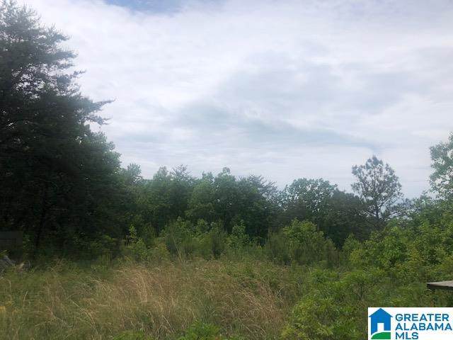 0 County Road 202 - Photo 1