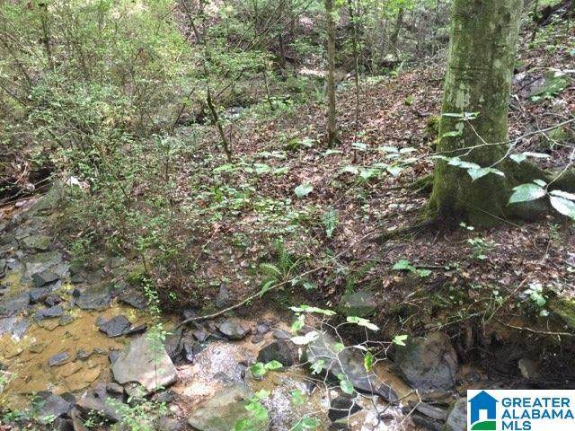 2115 White Post Road - Photo 1