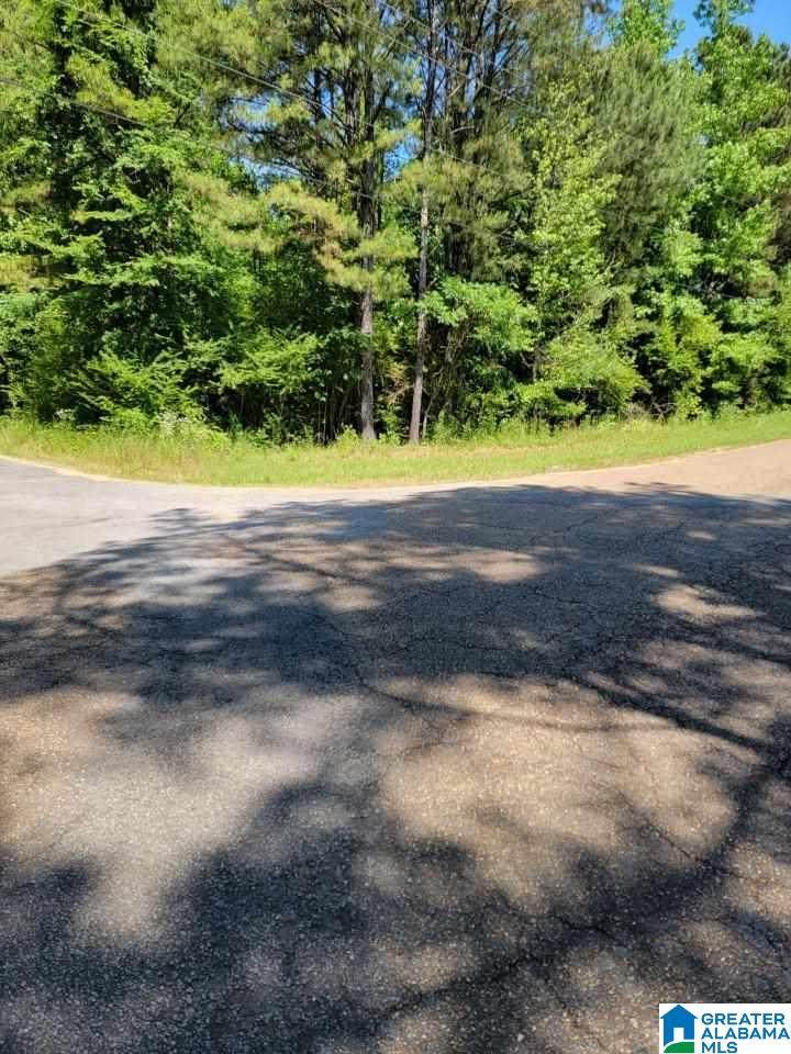 0 Cedar Lake Drive - Photo 1