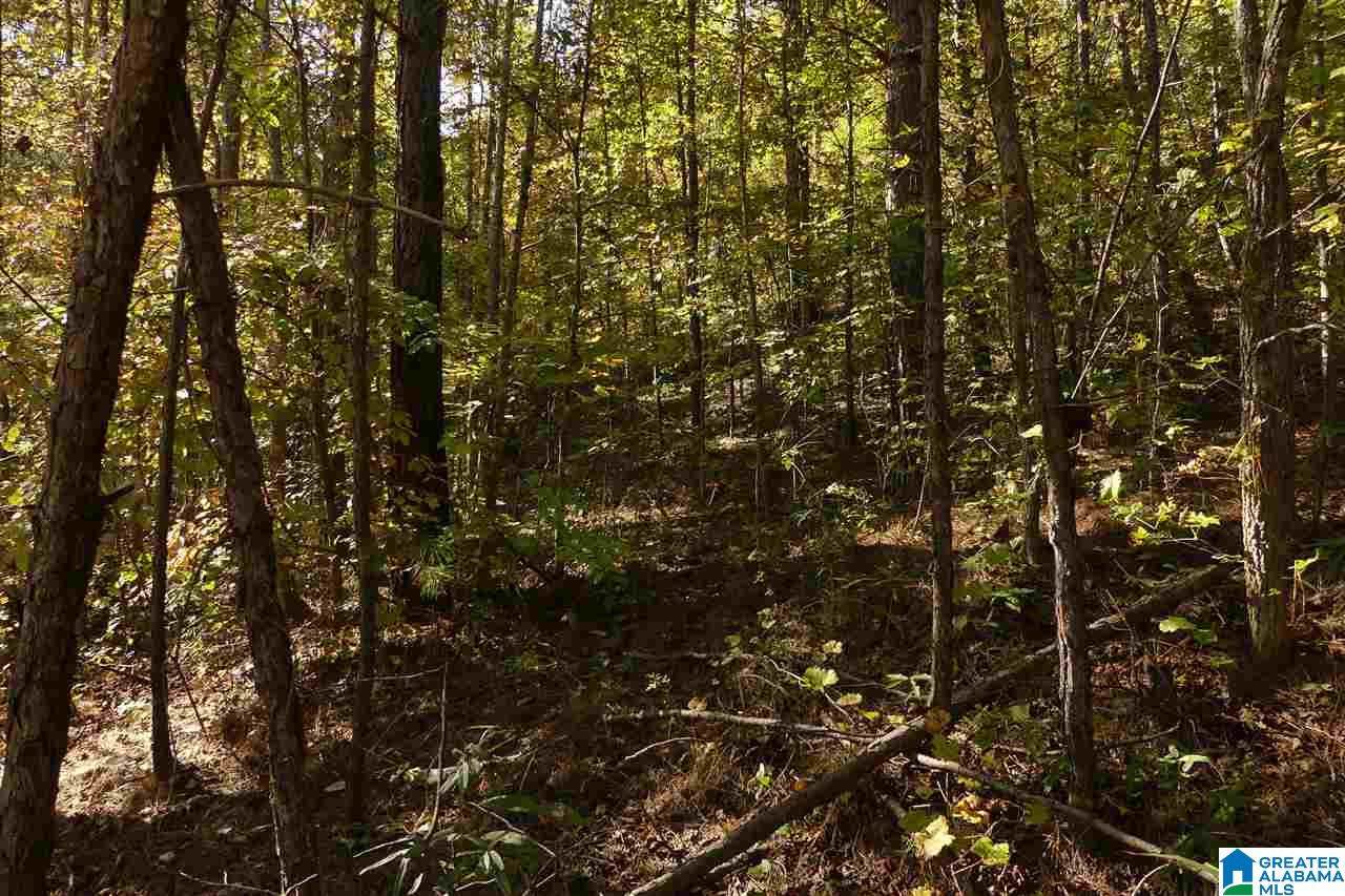 0 County Road 4 - Photo 1