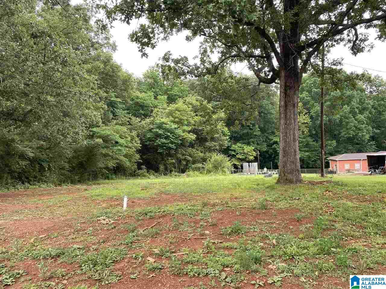 139 Celia Circle - Photo 1