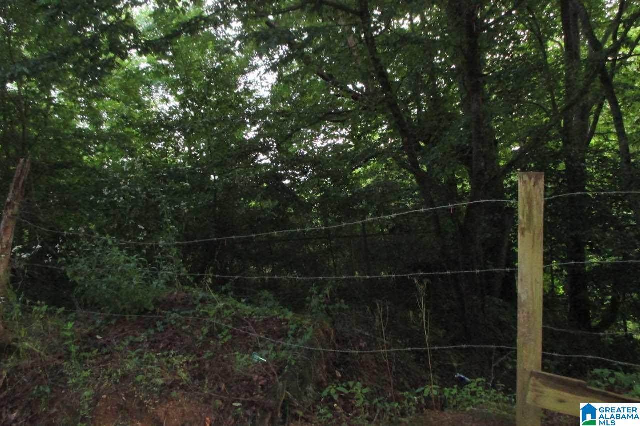 0 Smith Road - Photo 1