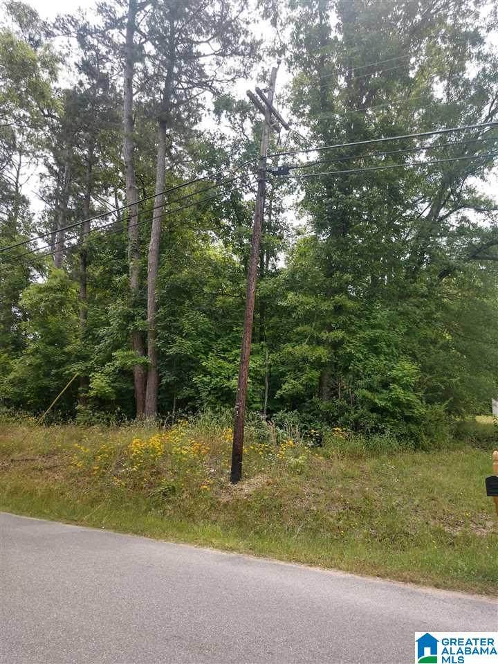 0 Macon Drive - Photo 1