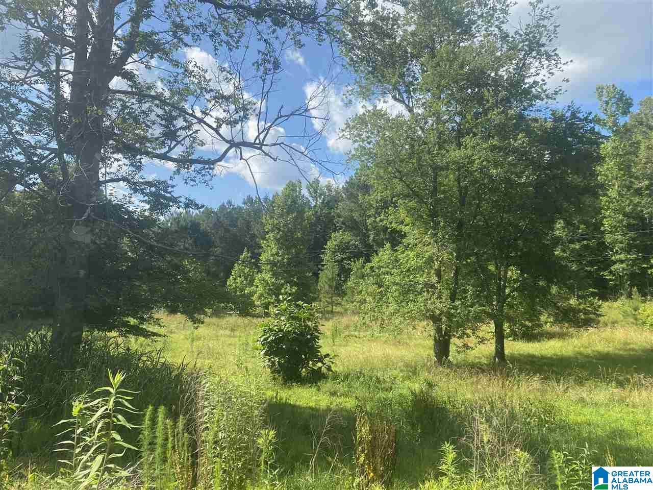 1234 County Road 4801 - Photo 1