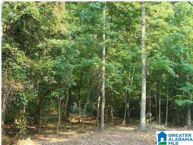 0 Deans Ferry Road - Photo 1