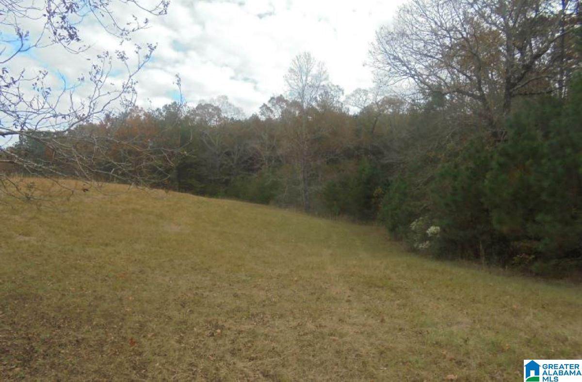 166 Parr Parkway - Photo 1