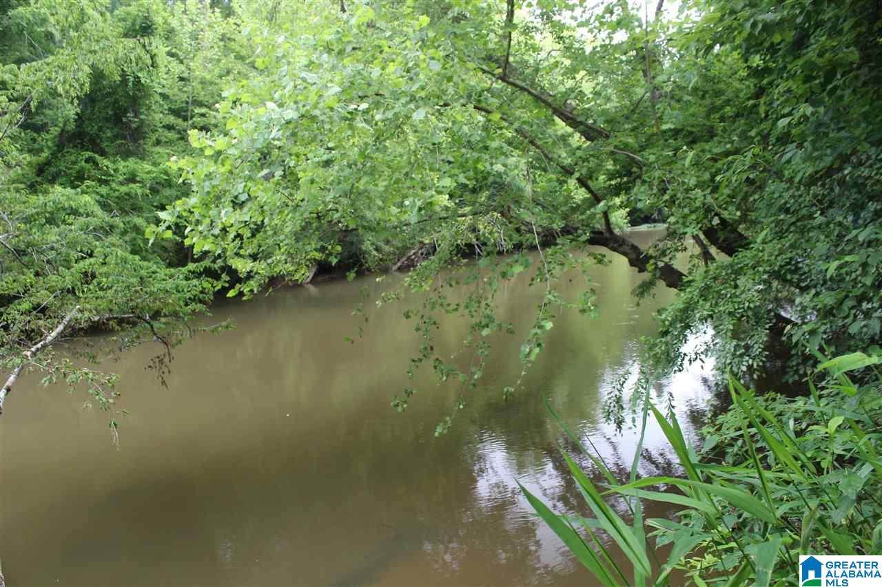 0 County Road 290 - Photo 1