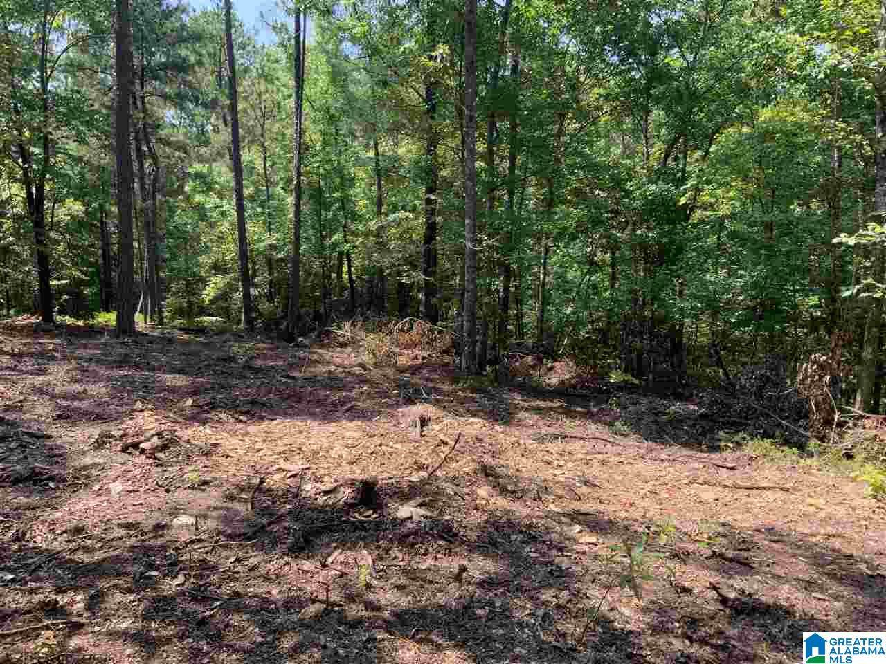 0 County Road 199 - Photo 1
