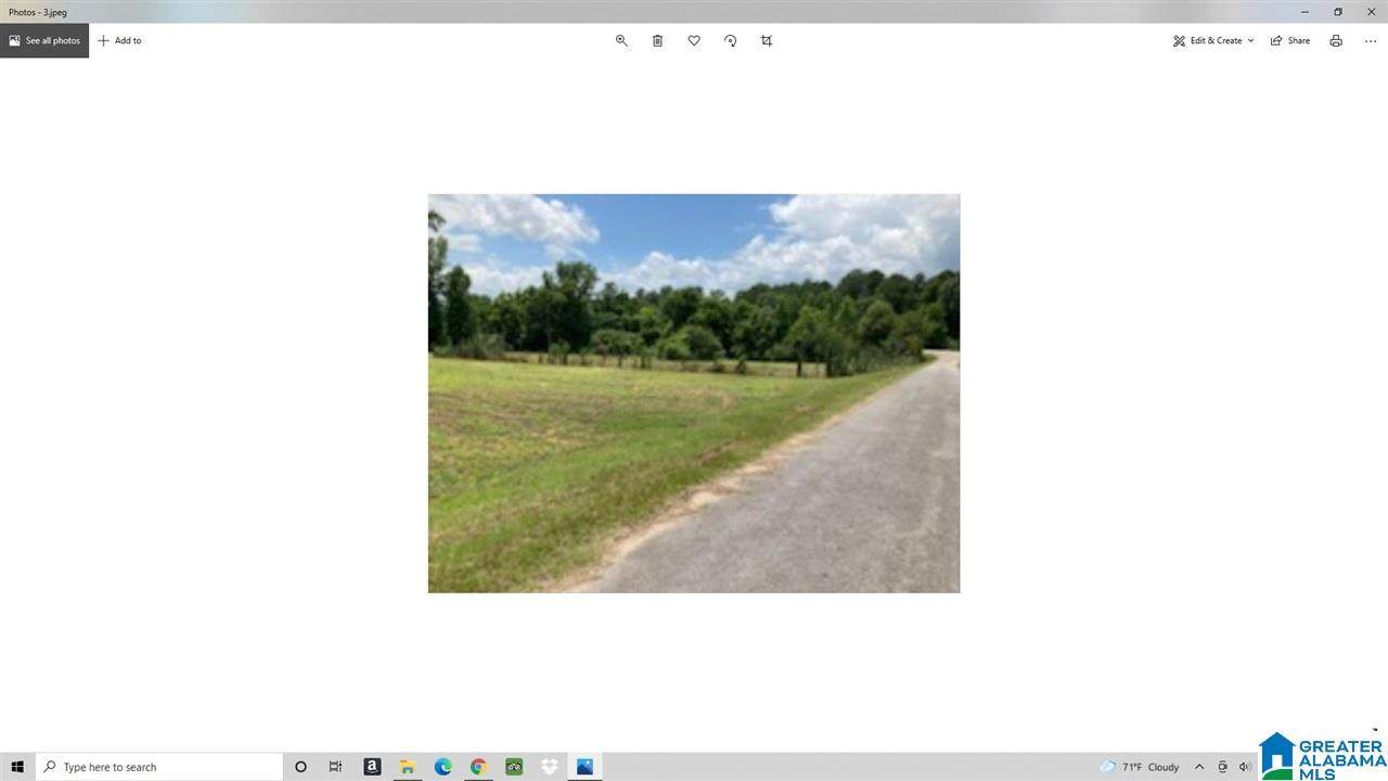 0 Bear Creek Road - Photo 1