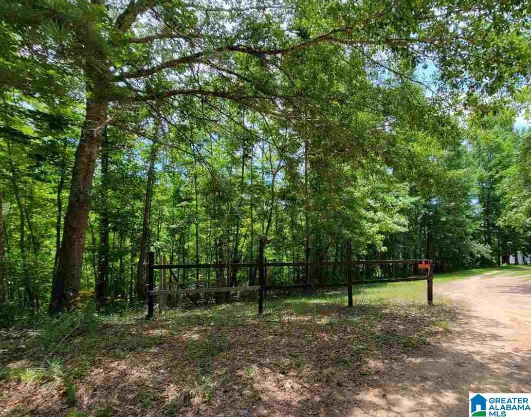 1850 County Road 358 - Photo 1