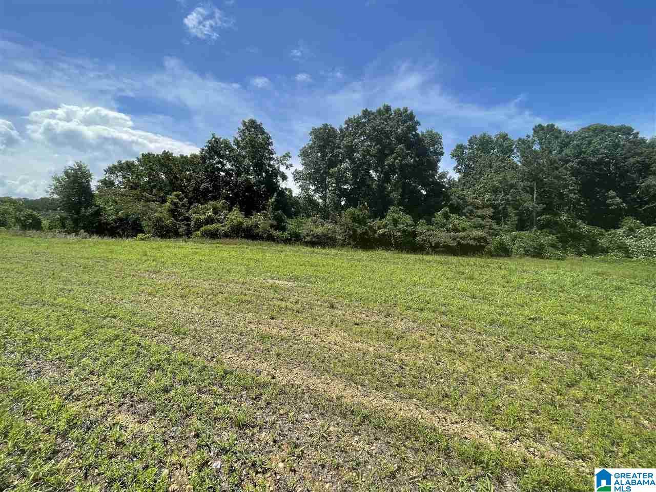 0 County Road 423 - Photo 1