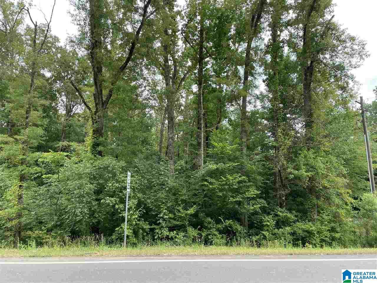 0 Weatherton Trail - Photo 1