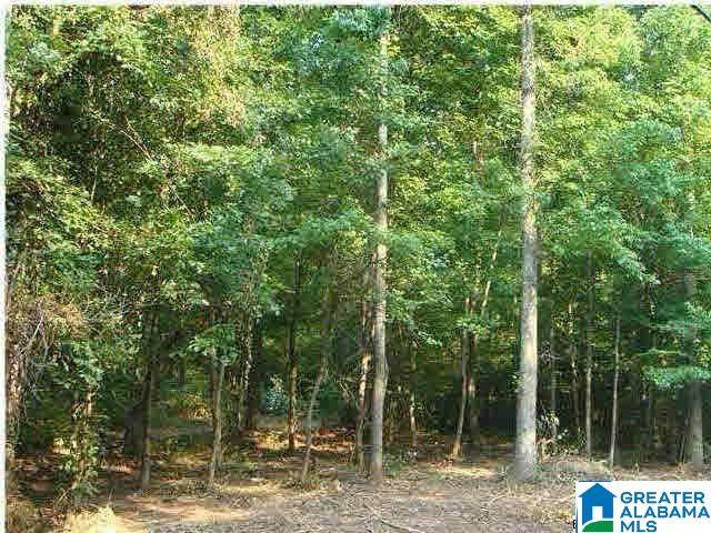 108 Springdale Road - Photo 1