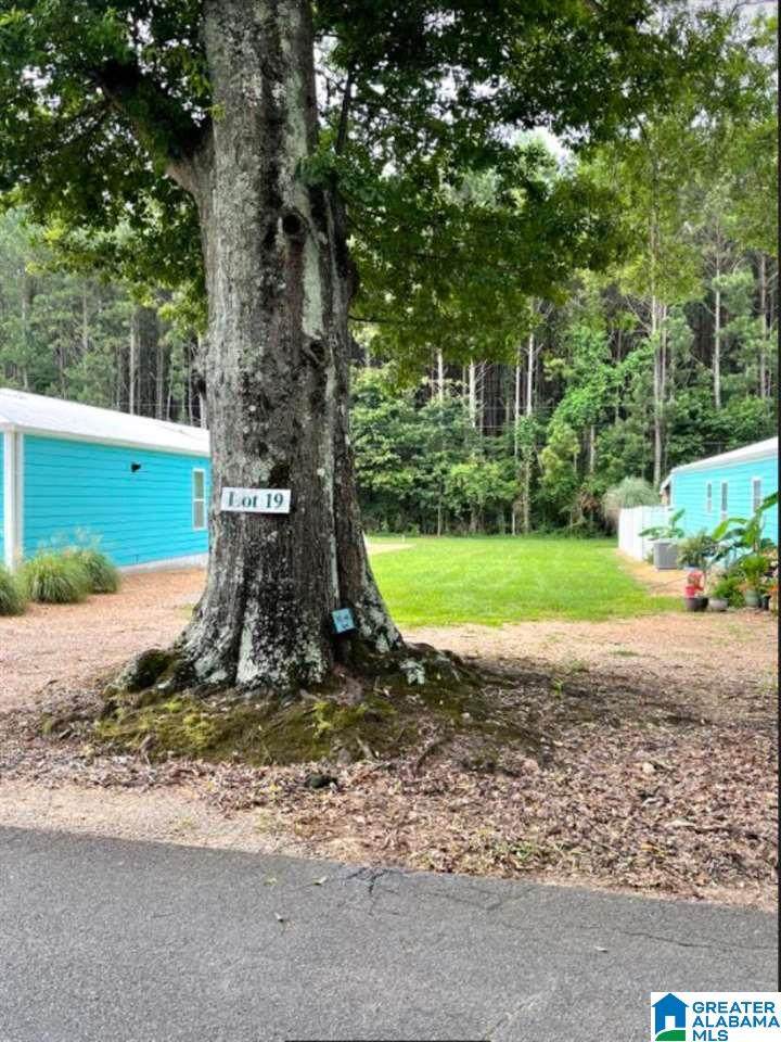 Lot 19 Blue Eye Road - Photo 1