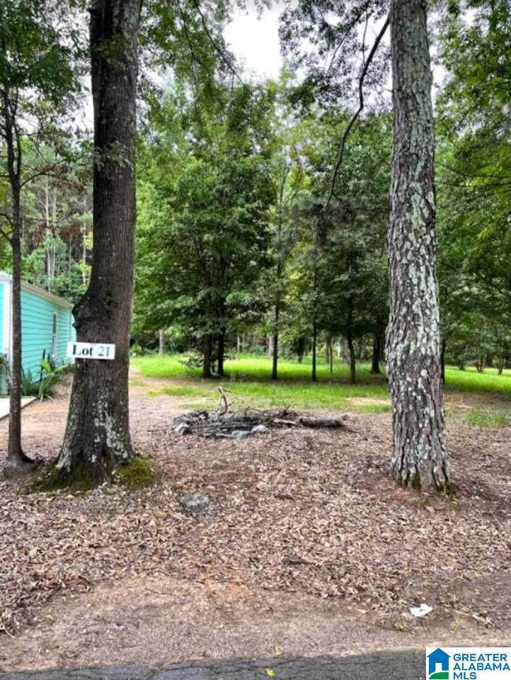 Lot 21 Blue Eye Road - Photo 1