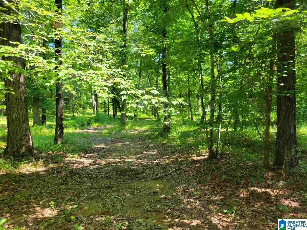 1401 Sardis Road - Photo 1