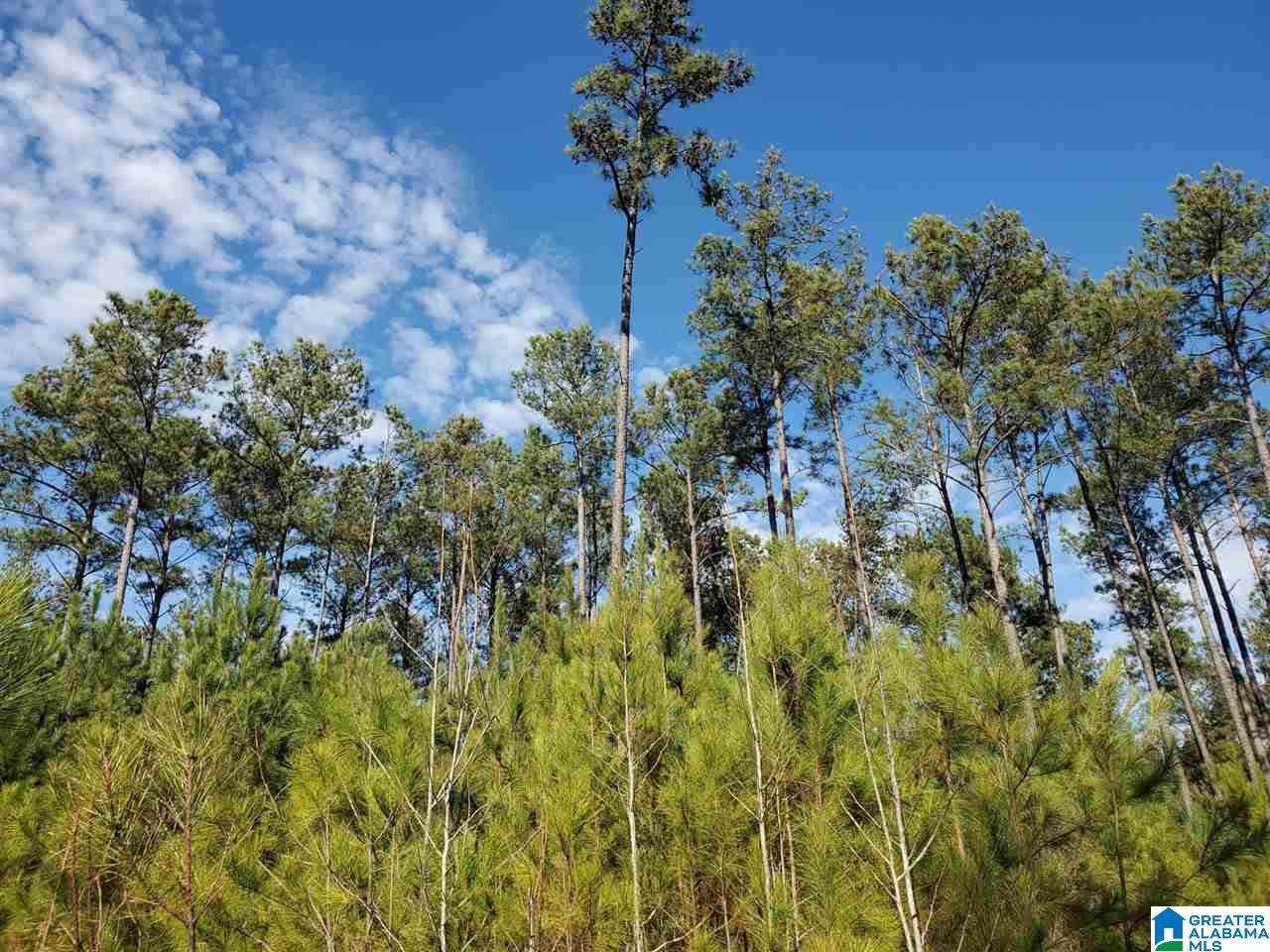 0.2 Gould Road - Photo 1