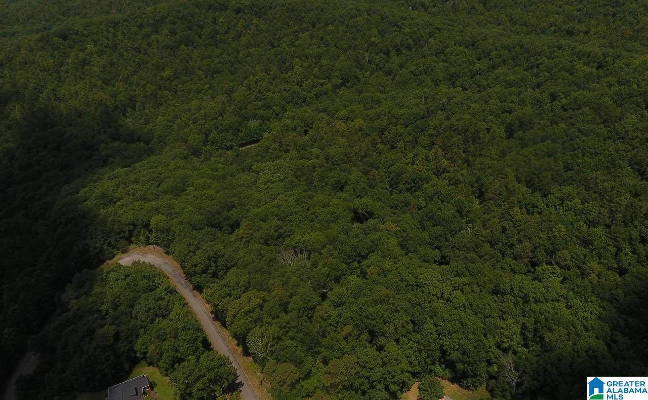 0 Laurel Circle - Photo 1
