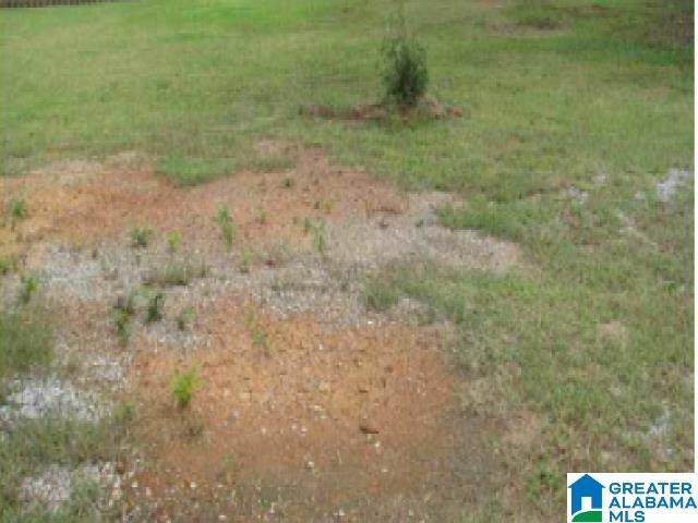 0 Camerons Way - Photo 1
