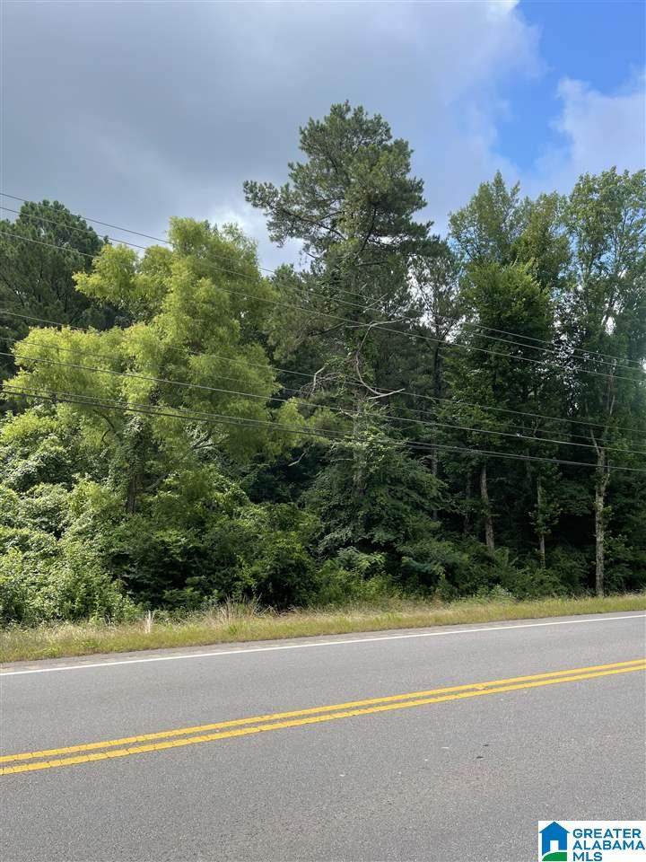 0 Highway 160 - Photo 1