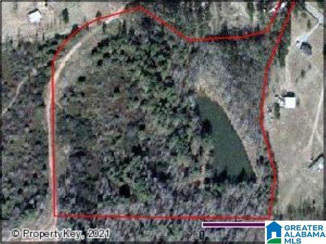 2577 Red Rock Drive - Photo 1
