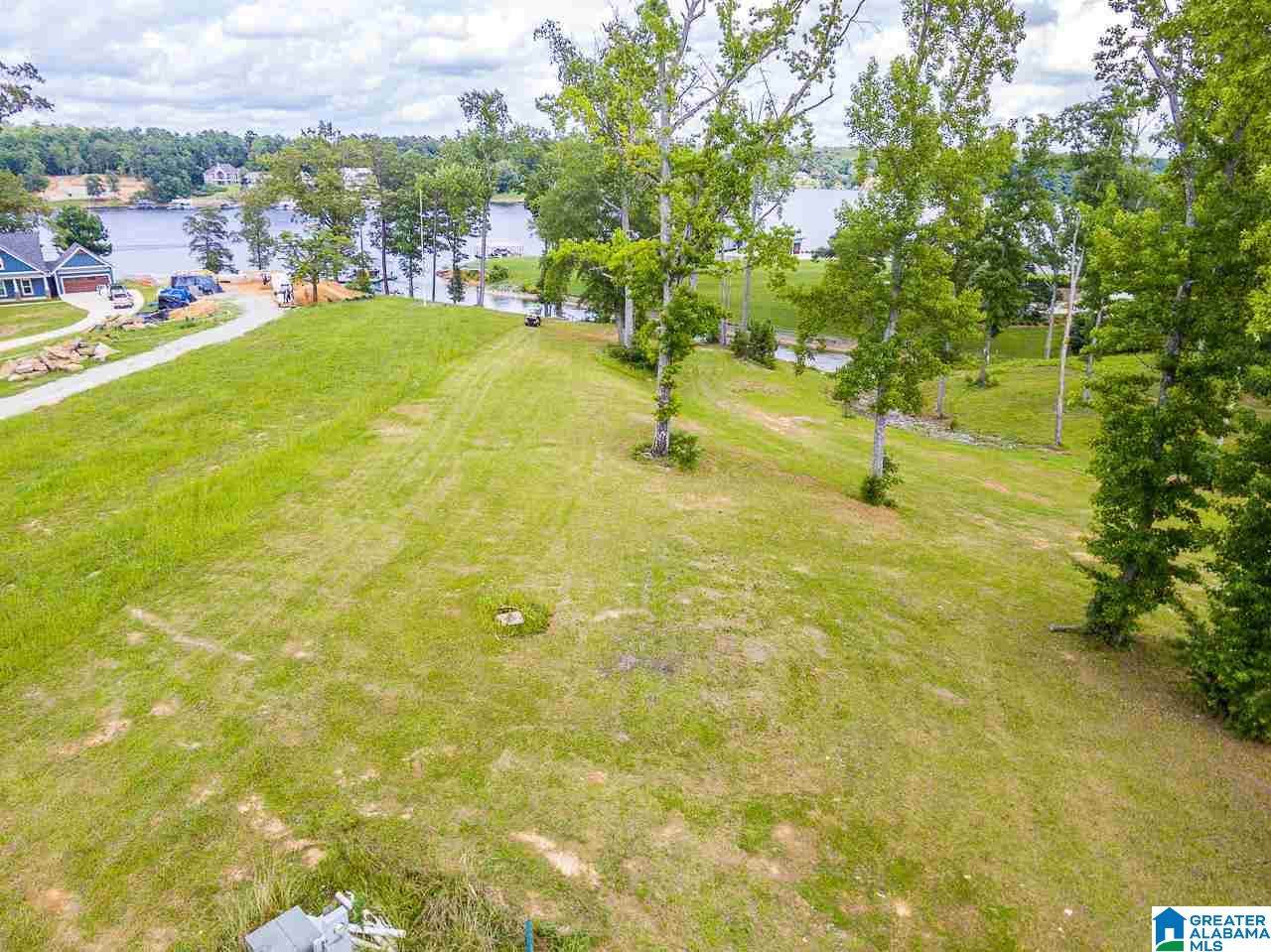 Lot 23 Sipsey Shores - Photo 1