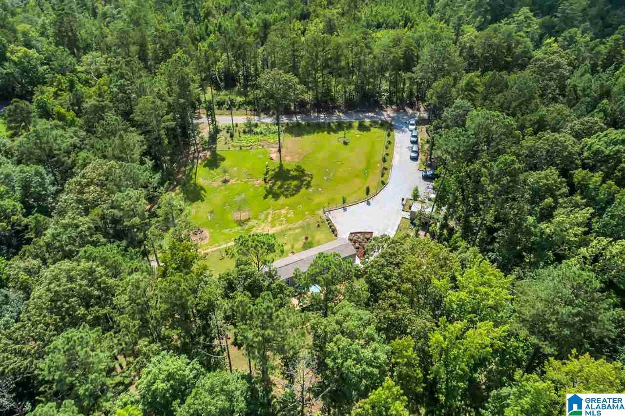 342 Highway 305 - Photo 1