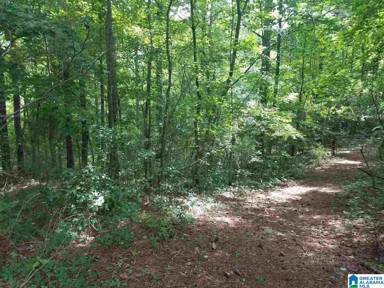 821 Sunshine Avenue - Photo 1