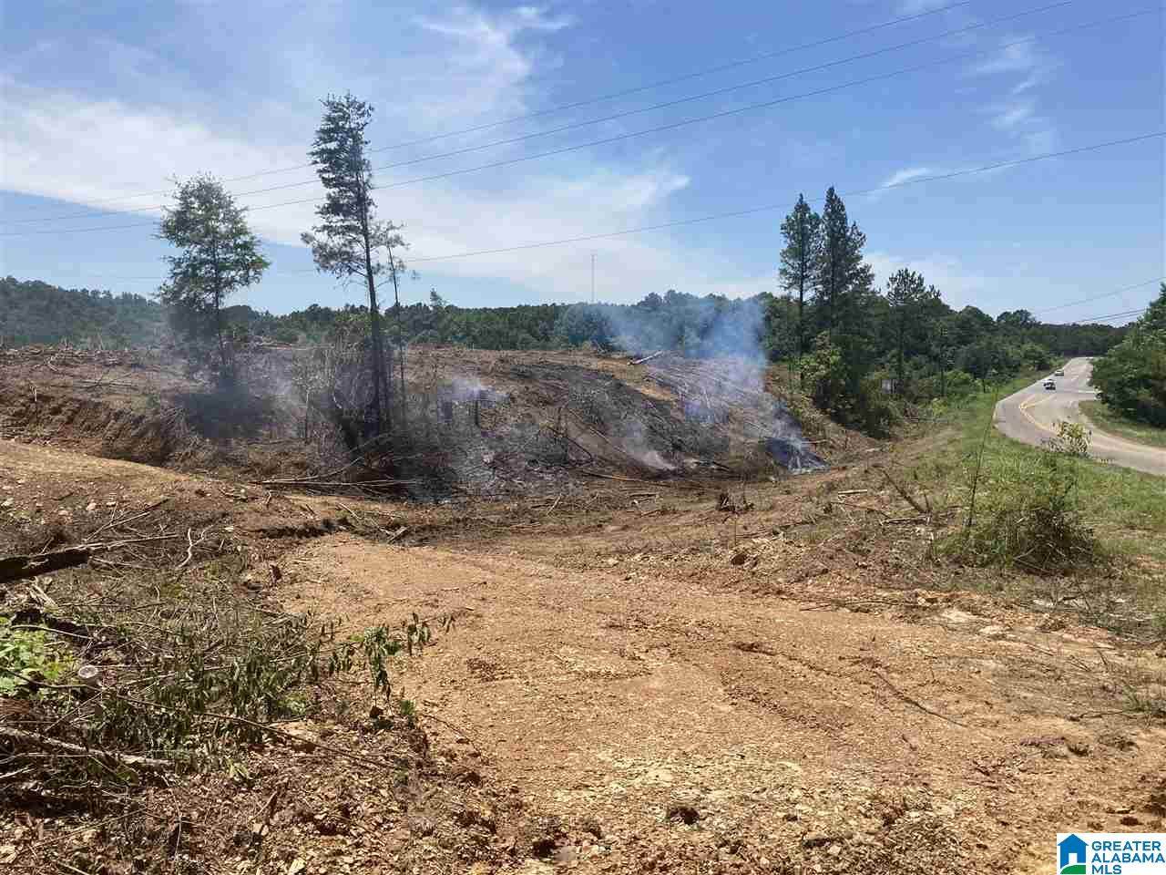 1000 Whitehouse Road - Photo 1