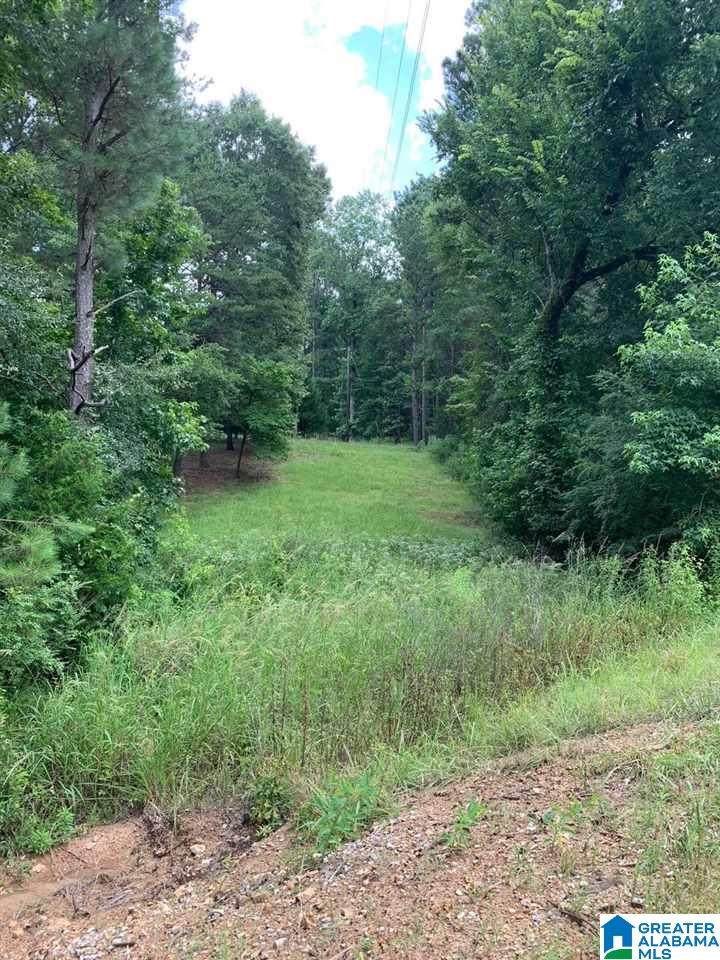 584 Deer Run Road - Photo 1