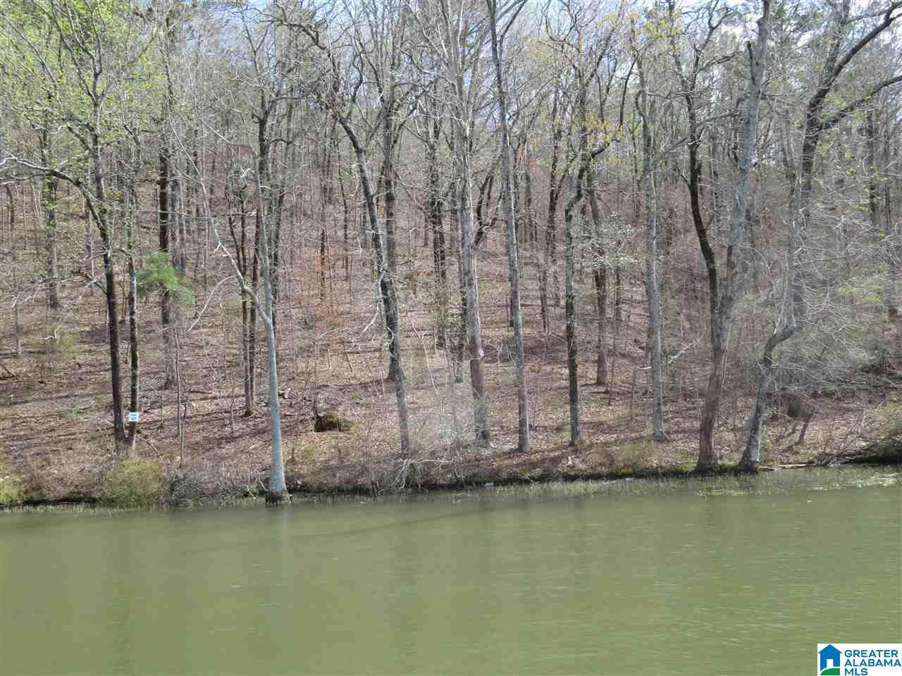 Lot 17 Eagle Point Trace - Photo 1