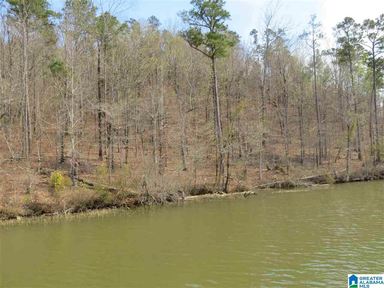 Lot 18 Eagle Point Trace - Photo 1