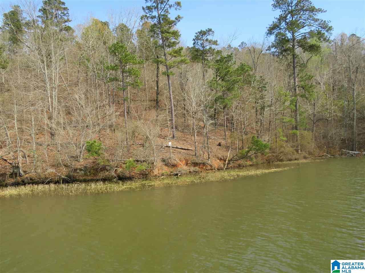 Lot 21 Eagle Point Trace - Photo 1