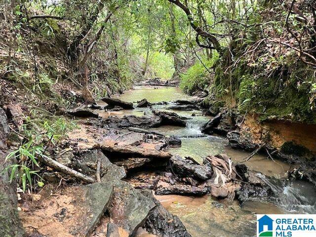 0 County Road 332 - Photo 1