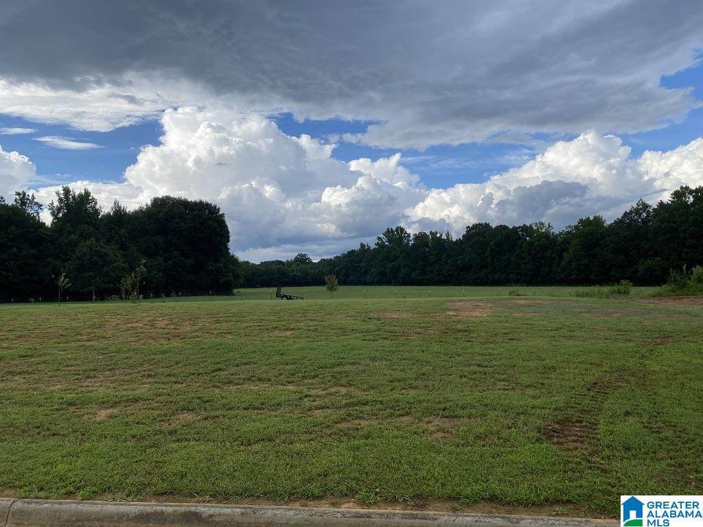 Lot 16 Rolling Green Drive - Photo 1